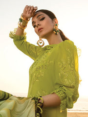 Rang Rasiya Florence Embroidered Lawn Unstitched 3Pc Suit D-12 Ariana