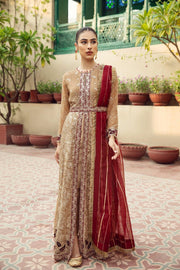 Alizeh Fashion Shahtaj Formal Wedding Embroidered 3PC Suit D-12 Aangan - FaisalFabrics.pk