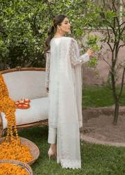 Akbar Aslam AAF-1419 TWINSPOT