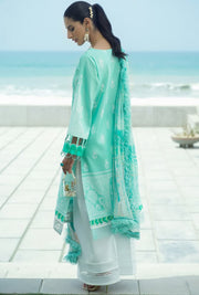 SERAN D-05 Seafoam Splendor