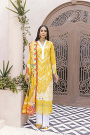 Nuriyaa Kashish D-12