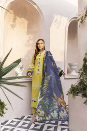 Nuriyaa Kashish D-02