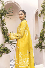 Nuriyaa Kashish D-03B