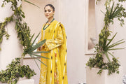 Nuriyaa Kashish D-03B