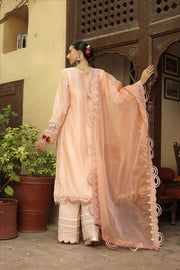 NOORANGI Gulbaan Unstitched Festive - Adira