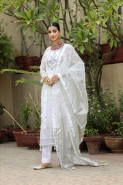 NOORANGI Gulbaan Unstitched Festive - Miraal