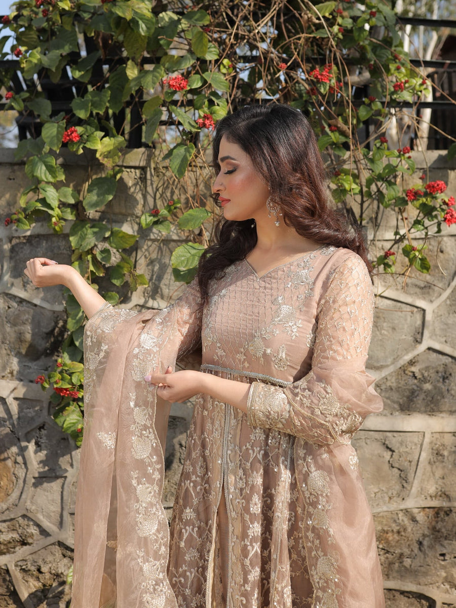 Malika Shahnaz Misl-e-Barq Unstitched Festive 3 Piece Suit Design-04