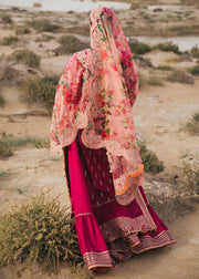 Hussain Rehar D-167 AHTEN