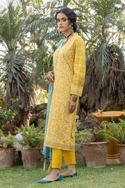 Lakhany LSM Dareechay DPC-3002