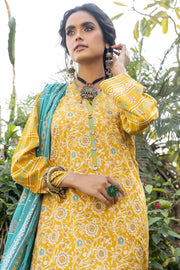 Lakhany LSM Dareechay DPC-3002