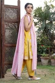 Lakhany LSM Dareechay DPC-3003
