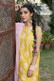 Lakhany LSM Dareechay DPC-3003