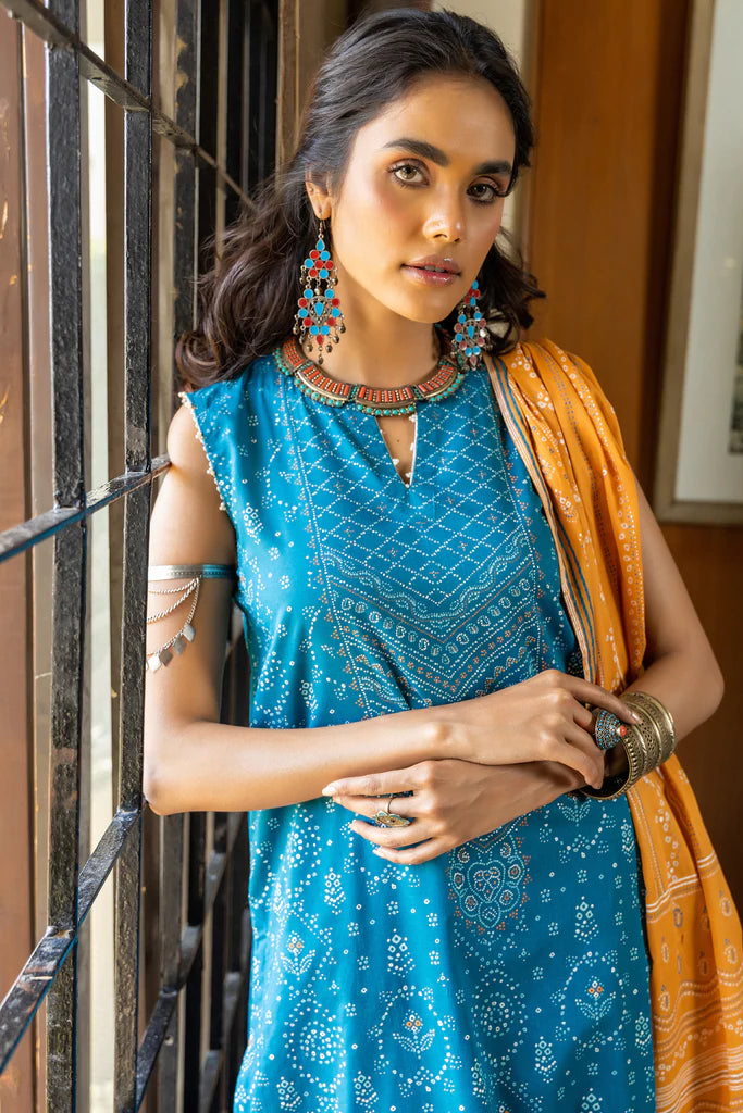 Lakhany LSM Dareechay DPC-3007