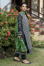 Lakhany LSM Dareechay DPC-3008