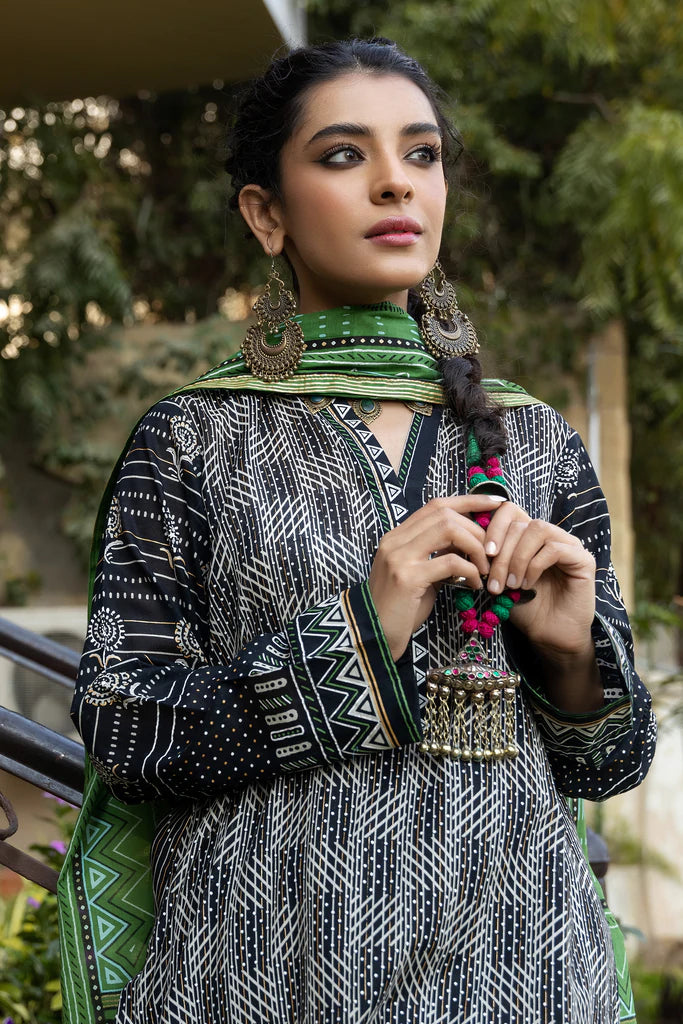 Lakhany LSM Dareechay DPC-3008