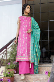 Lakhany LSM Dareechay DPC-3011