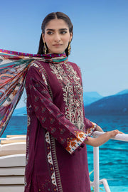 So Kamal DPL 2590