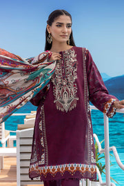 So Kamal DPL 2590