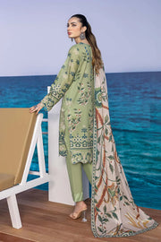 So Kamal DPL 2620