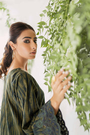 Nuriyaa Winter Tale Embroidered Pret Slub Khaddar 2pc Suit - DIVA