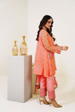 Surmai Festive Story Premium Luxury Pret Embroidered Organza 3PC Suit - Eminent