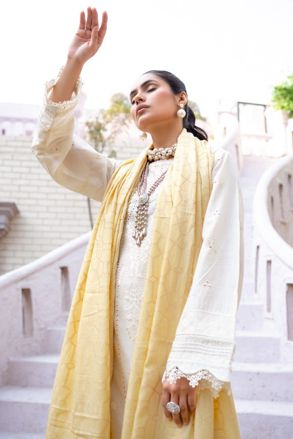 Mehar by Humdum Embroidered Chikankari Lawn Unstitched 3Pc Suit D-09