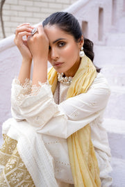 Mehar by Humdum Embroidered Chikankari Lawn Unstitched 3Pc Suit D-09