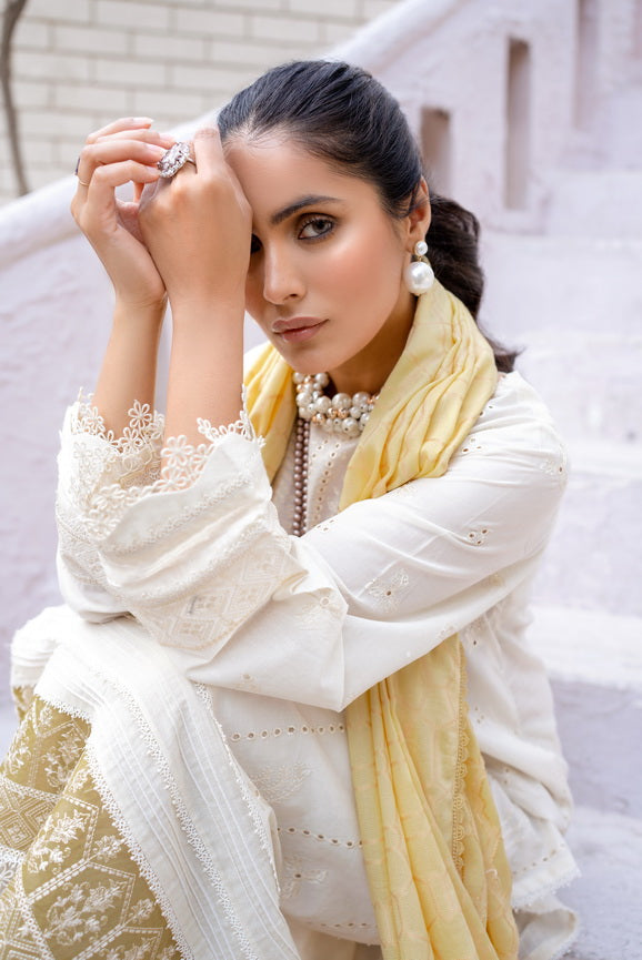 Mehar by Humdum Embroidered Chikankari Lawn Unstitched 3Pc Suit D-09