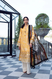 Erum Khan EK-SL-04 GOLDEN GLORY