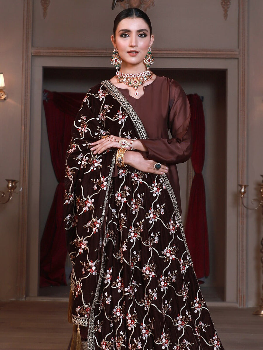 Emaan Adeel Luxury Embroidered Velvet Shawl Edition S-105 - FaisalFabrics.pk