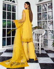 SIFA Luxury Formals Pret - LIME CRYSTAL