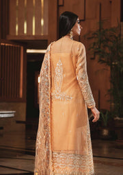 AIK Atelier Wedding Festive Formal Unstitched 3 Piece Suit LOOK-06 - FaisalFabrics.pk