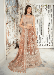 Aik Atelier Wedding Festive Embroidered Net 3Pc Suit Look-03
