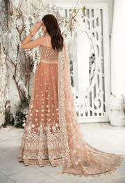 Aik Atelier Wedding Festive Embroidered Net 3Pc Suit Look-03