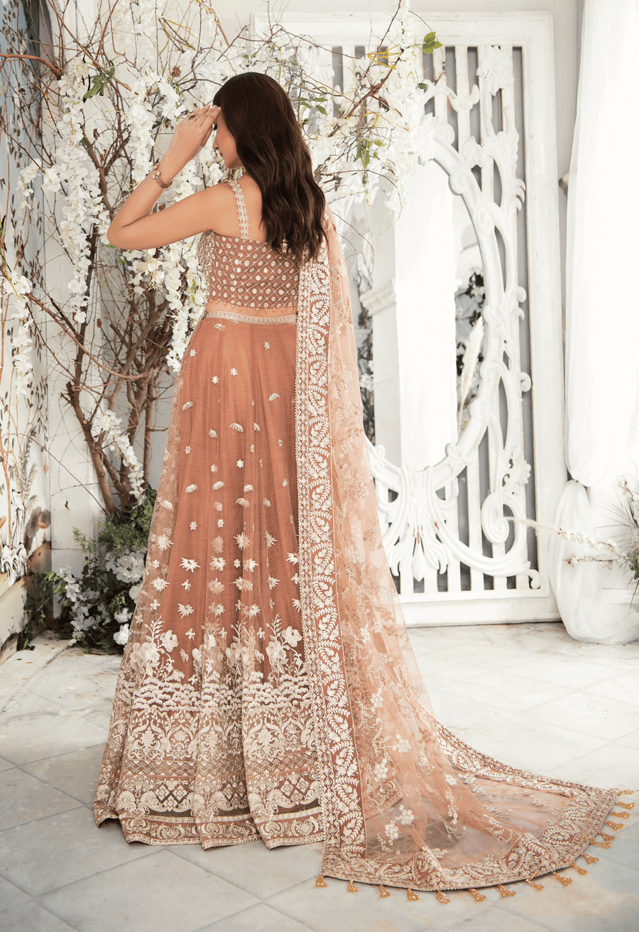 Aik Atelier Wedding Festive Embroidered Net 3Pc Suit Look-03