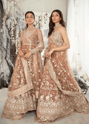 Aik Atelier Wedding Festive Embroidered Net 3Pc Suit Look-03