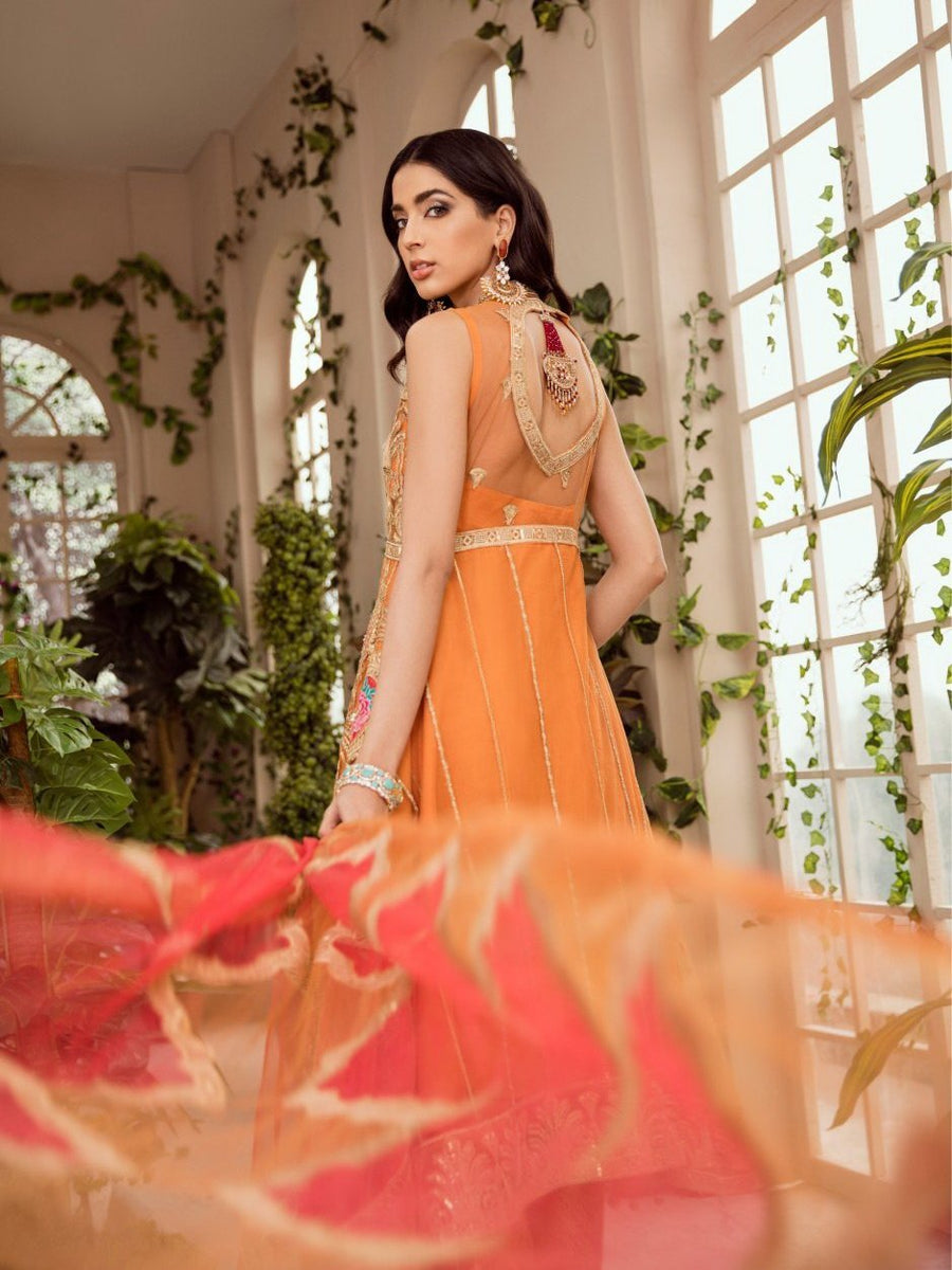 MASHQ Festive Collection Embroidered Net 3Pc Suit MZ-02 CLEMENTINE DIVINE - FaisalFabrics.pk