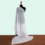 Tasneem Fabrics Women's Embroidered Crinkle Dupatta - MDEM0002062