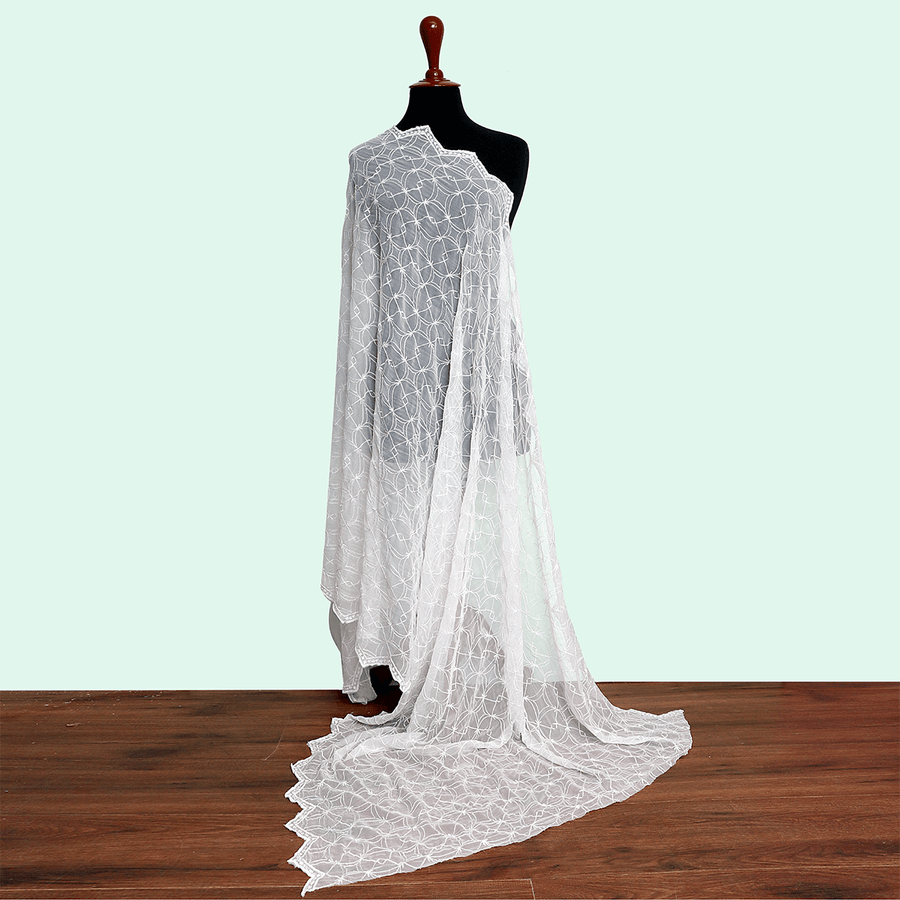 Tasneem Fabrics Women's Embroidered Crinkle Dupatta - MDEM0002067