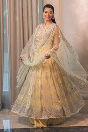 MUSHQ MSQ22-07 AURORA
