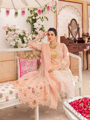 NUREH Chandni NF-40