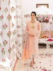 NUREH Chandni NF-40