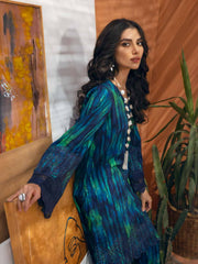 NUREH Ballerina Embroidered Chikankari Khaddar 2 Piece Suit NU2-12 - FaisalFabrics.pk