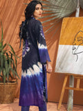 NUREH Ballerina Embroidered Chikankari Khaddar 2 Piece Suit NU2-16 - FaisalFabrics.pk