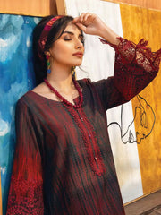 NUREH Ballerina Embroidered Chikankari Khaddar 2pc Suit NU2-20 - FaisalFabrics.pk
