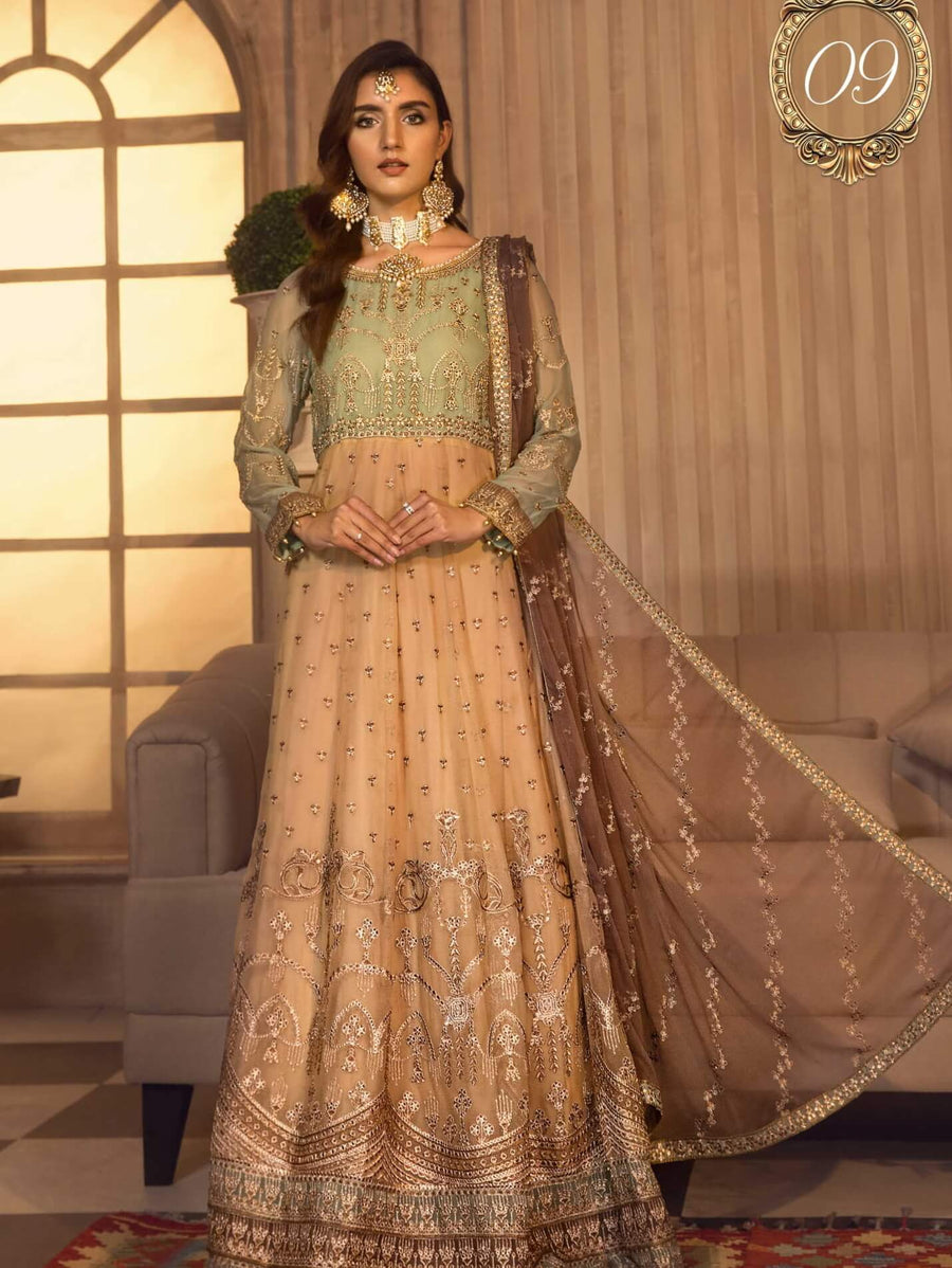 Noor E Rang By Zarif Luxury Unstitched Chiffon 3Pc Suit ZF-09 Falak - FaisalFabrics.pk