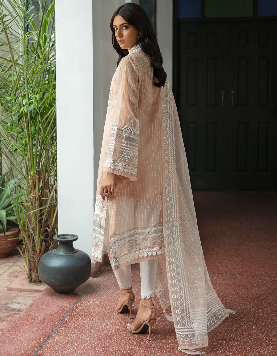 Emaan Adeel Luxury Pret Formal Wedding Suit PR-57 SOFT PEACH - FaisalFabrics.pk