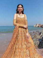 Reign Amira'a Luxury Formals Embroidered Unstitched 3PCS Suit RN-03 Zendaya - FaisalFabrics.pk
