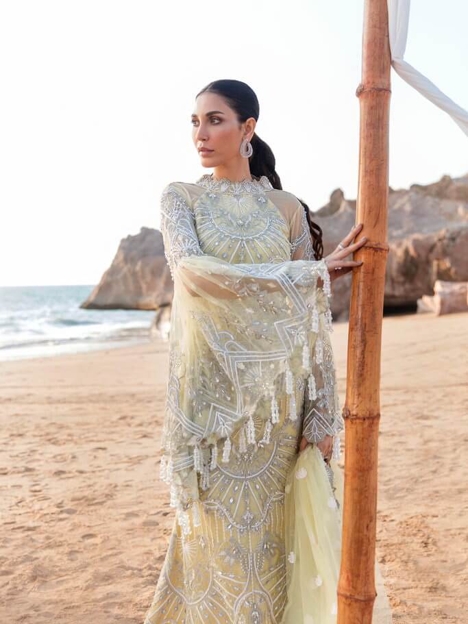 Reign Amira'a Luxury Formals Embroidered Unstitched 3PCS Suit RN-12 Zairah - FaisalFabrics.pk