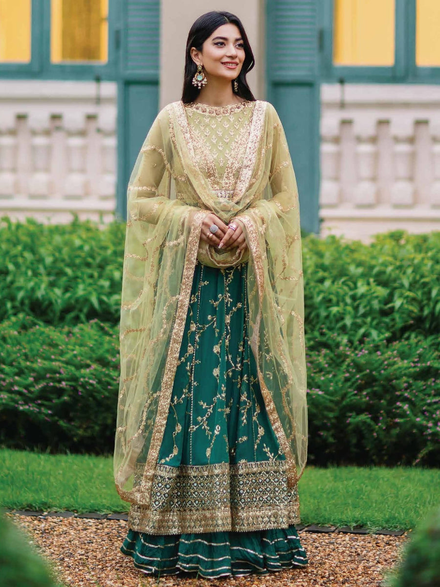 ROHEENAZ Luxury Kalidaar Chiffon Unstitched 3Pc Suit RNZ22-02 Chandani
